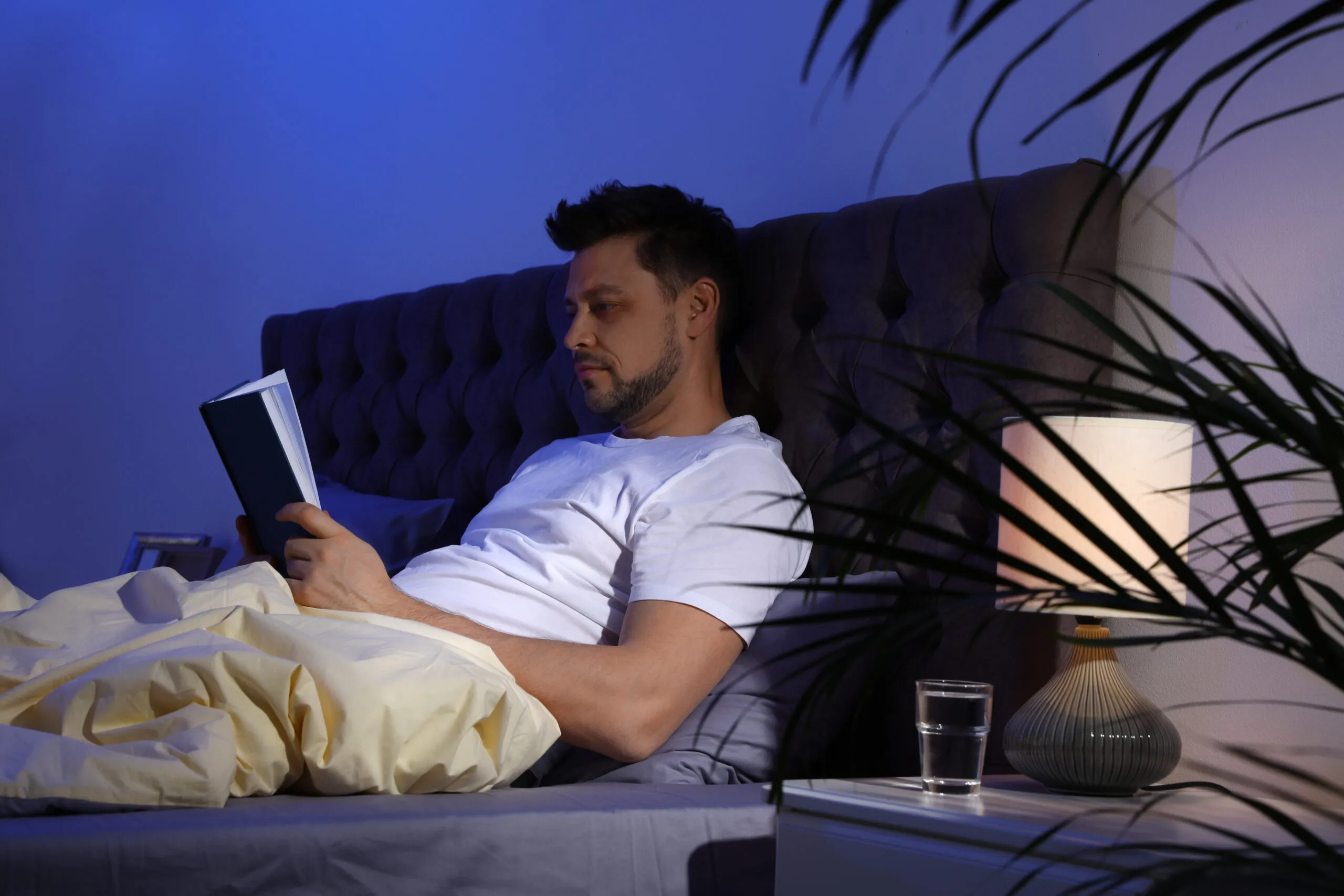 Evening audio session collection preview